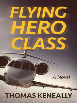 cover image of Flying Hero Class